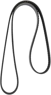 Continental Elite Correia 4081190 Poly V