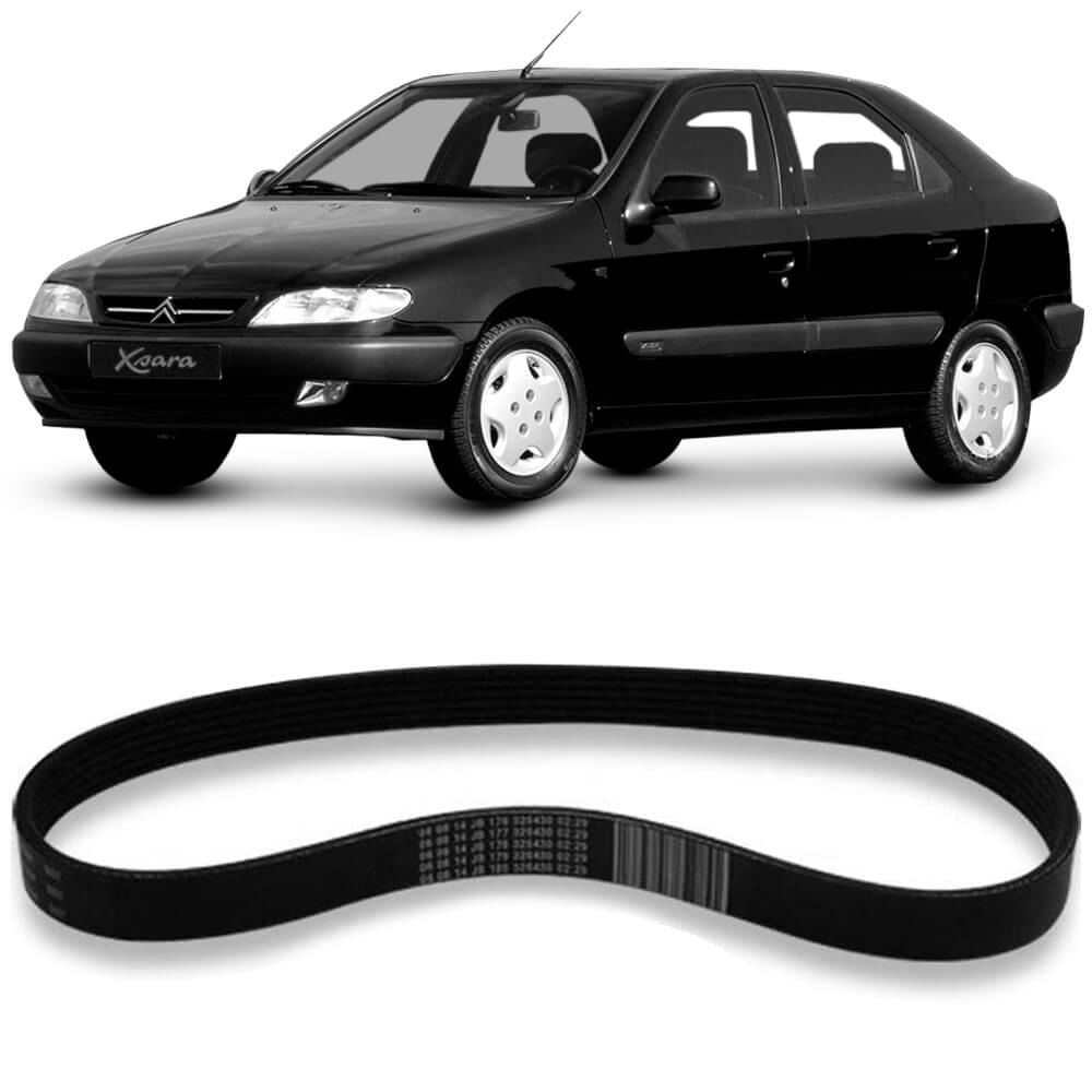 Correia Alternador Citroën Xsara 2001 Multi V Contitech