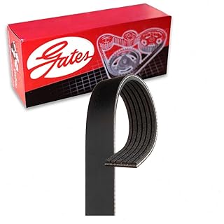 Correia Alternador Elastica Crossfox 1 6 2009 2015 Gates