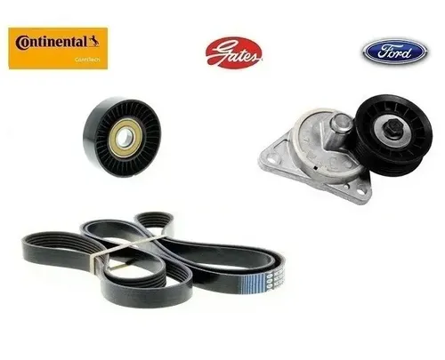 Correia Alternador Ford Focus 2001 2004 Multi V Contitech