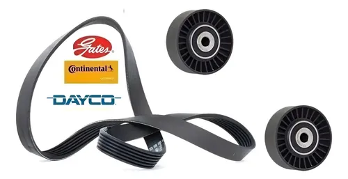 Correia Alternador Peugeot 406 99 2004 Micro V Gates