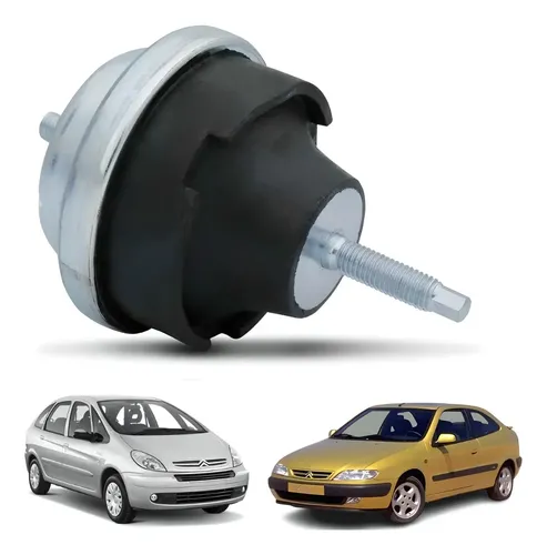 Coxim Peugeot 206 306 Citroën Picasso 1998 2012 Direito Vgercie