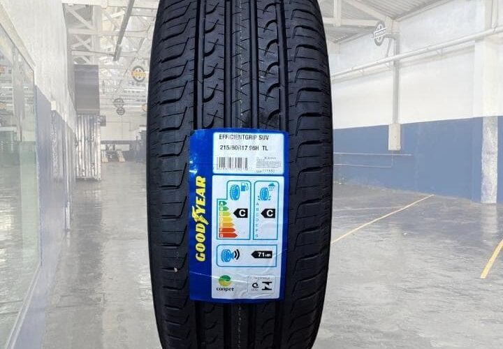 Pneu Goodyear Aro 17 215 60R17 96H Tl Sl Efficientgrip SUV