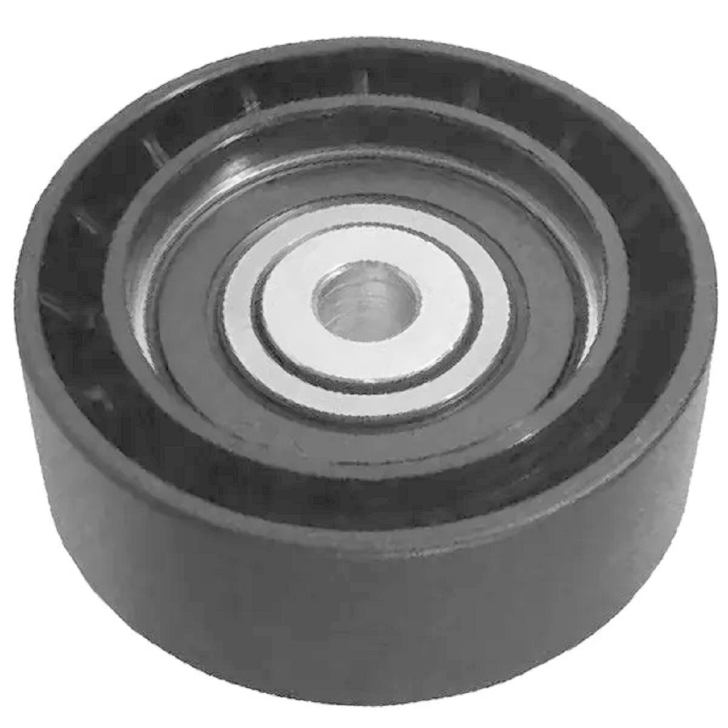 Polia Alternador Renault Nissan Logan Clio 1999 2024