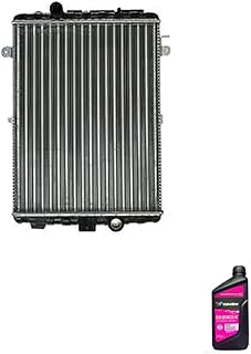 Kit Radiador VW Gol e Parati 95> + Aditivo Radiador Concentrado Advanced