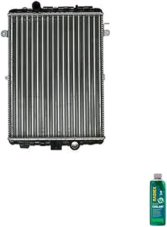 Kit Radiador VW Gol e Parati 95> com Aditivo Radiador Radiex R1882 Verde